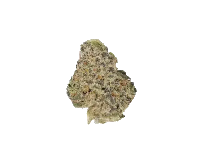 Bediol