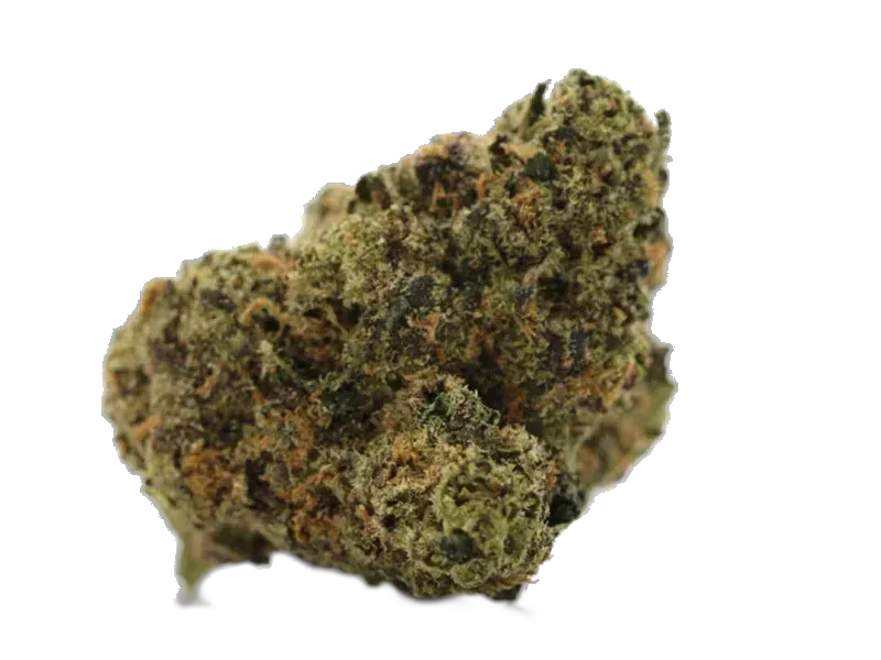 Green Karat MG 25/1