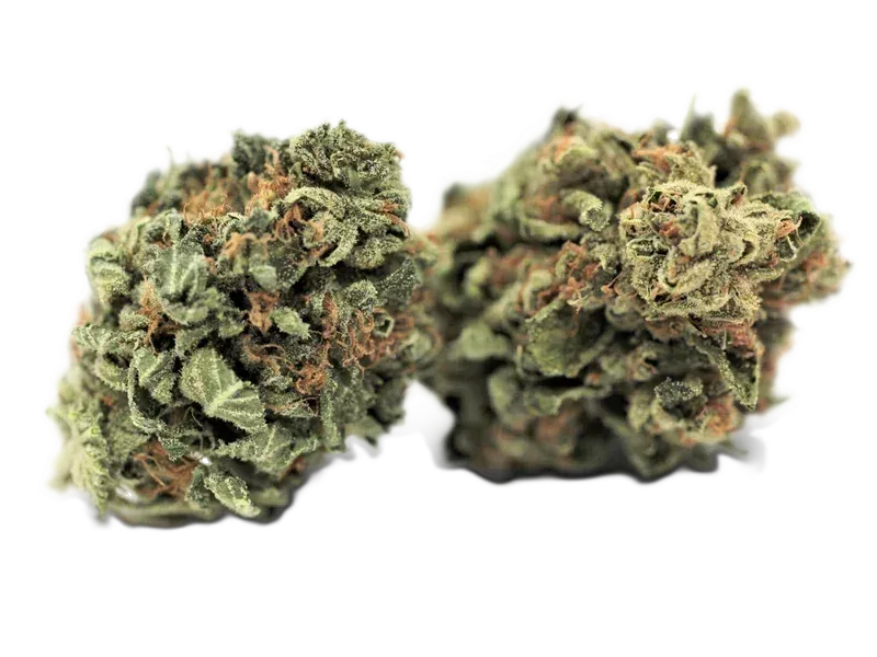 Navcora THC22 Spotlight Porto Sirius