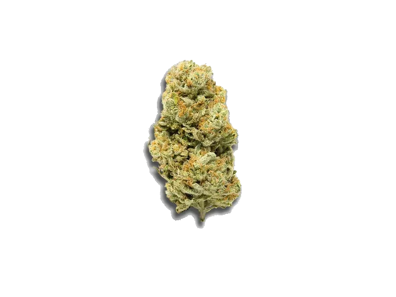 Canify Cannabis flos 8/9 LS KU.