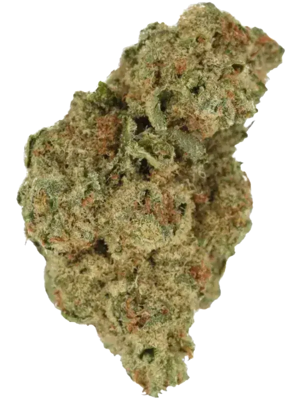 Cannamedical Indica forte NG