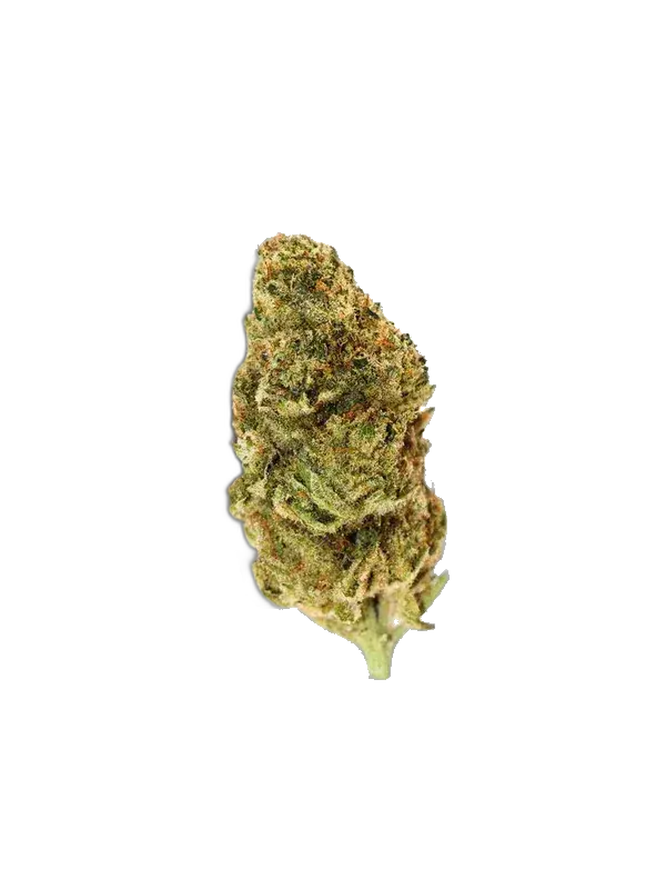 420 Evolution 30/1 FLM CA