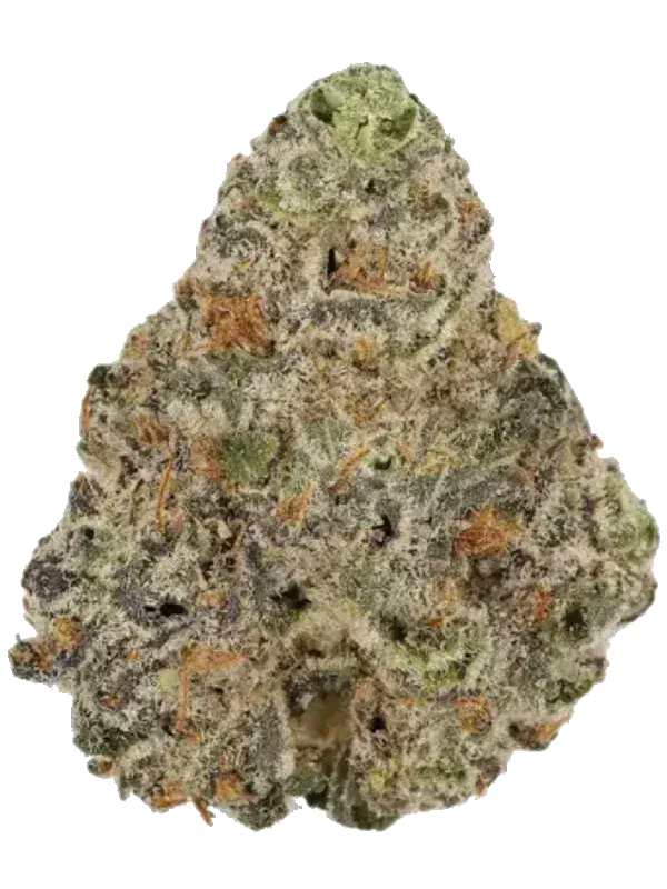 Tilray THC15 Spotlight Porto