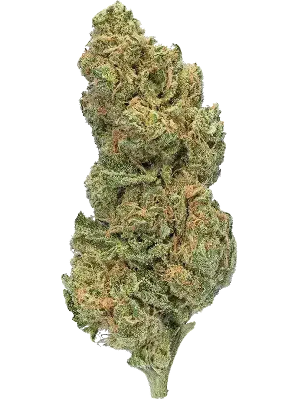 Peace Naturals 29/1 GC