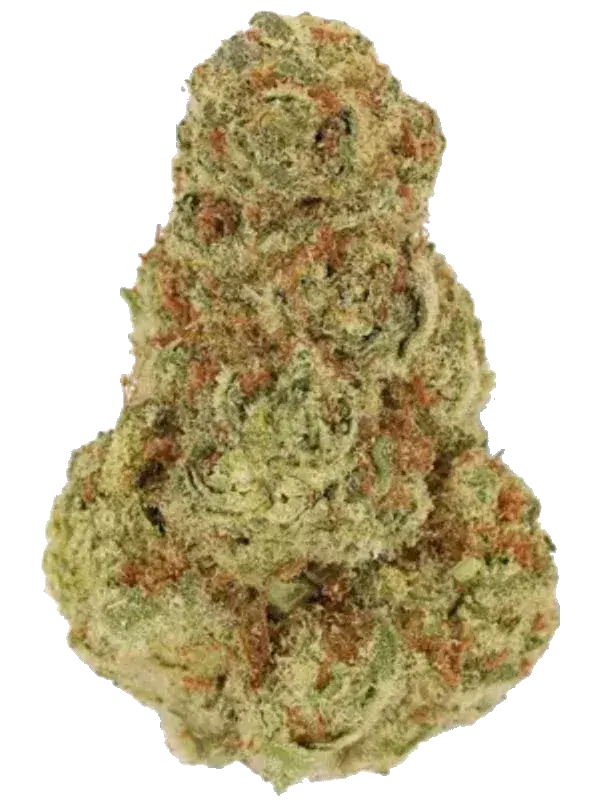 Remexian 27/1 LNL PUO
