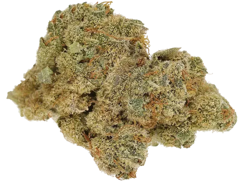 Cannamedical Indica Forte BC