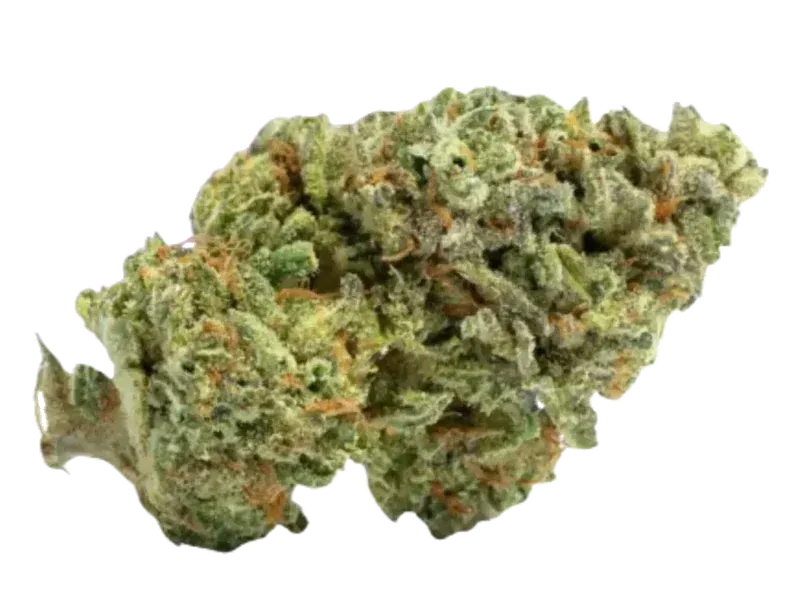 420 Evolution 27/1 CA ICC
