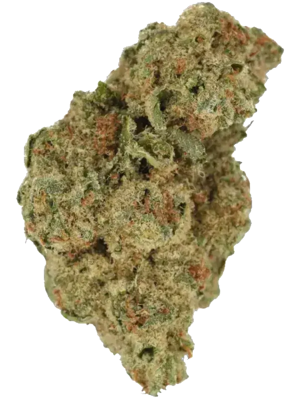 420 Sungrown 27/1 CA LLY