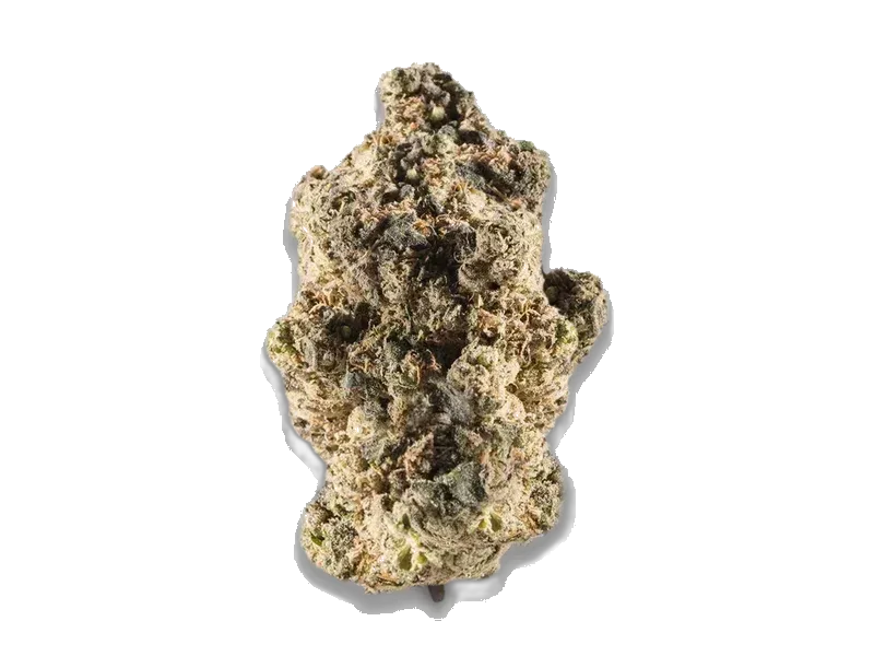 WEECO 23/1