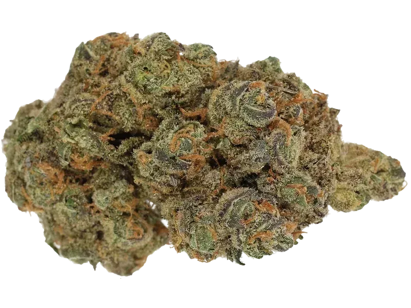 Cannamedical Hybrid Forte BC
