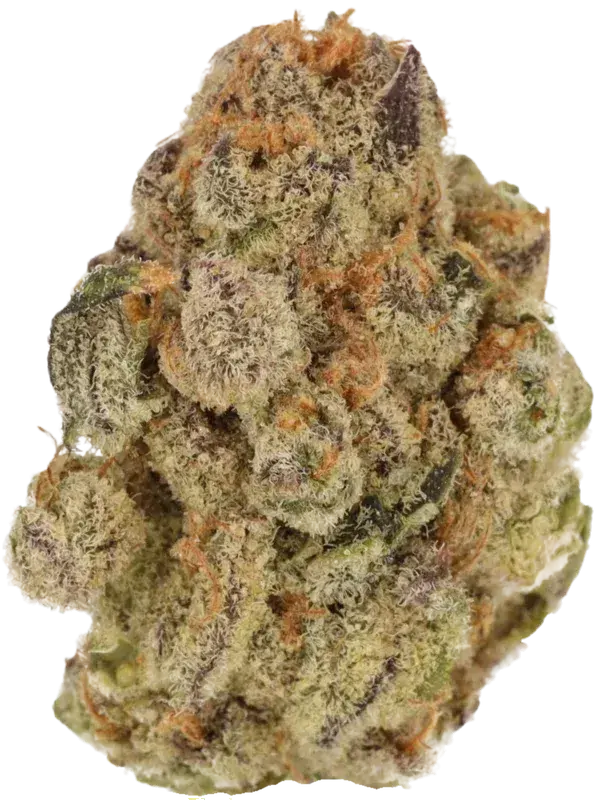 mediprocan African Ruby 30/1