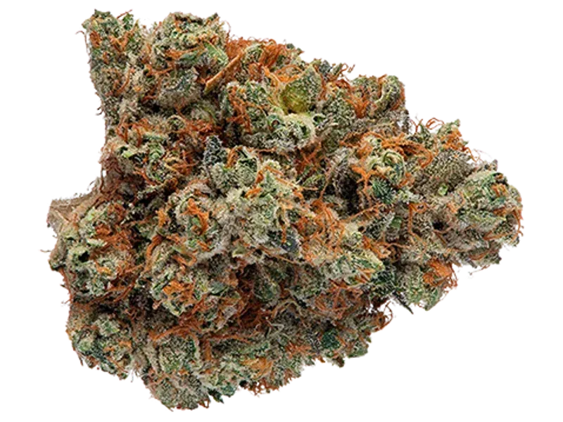 CannXChange CC 25/1
