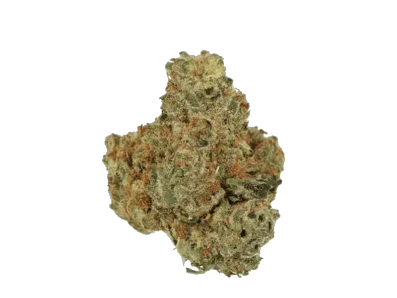 Sibanax SHB 26/1 Shishkaberry