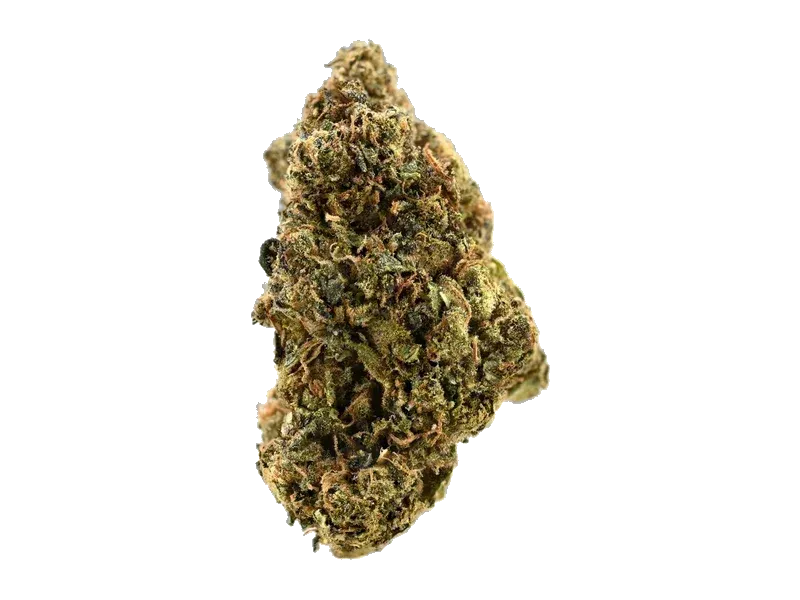 420 Evolution 16/1 CA LCG