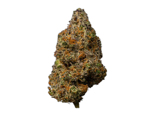 Cookies 2.0 Hawaiian Rain 28/1 CAN