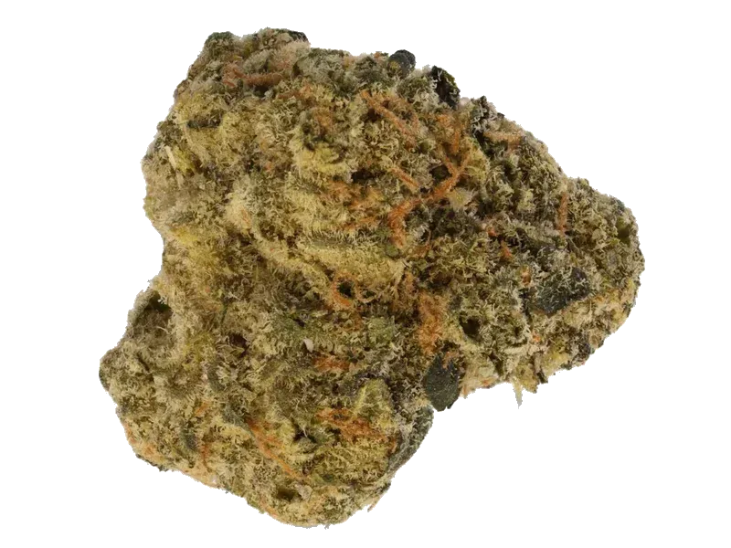 Greyscales by LOT 420 HF 30/1