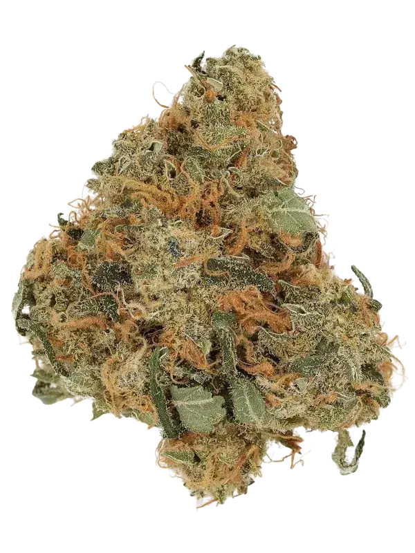 Cannamedical Indica Classic DK