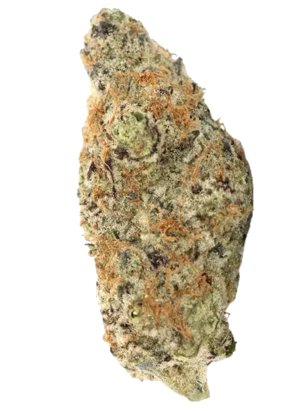 Cannabis flos 25/1 CL Ku.