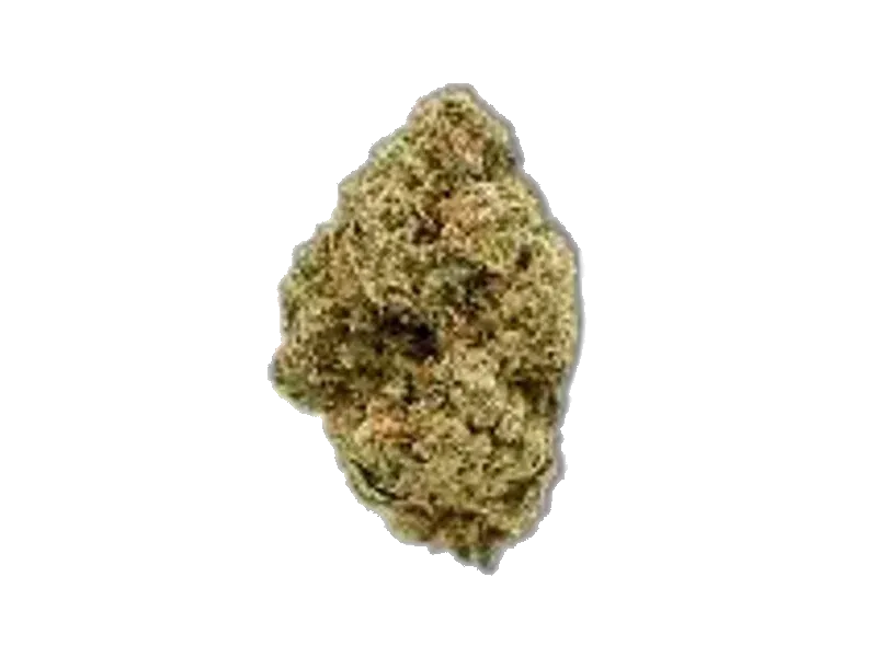 mediproCan Lunaris 19/1
