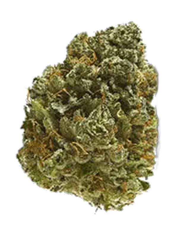 Canopy AKH 22