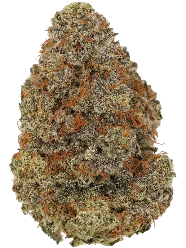 Cannamedical Indica forte DK