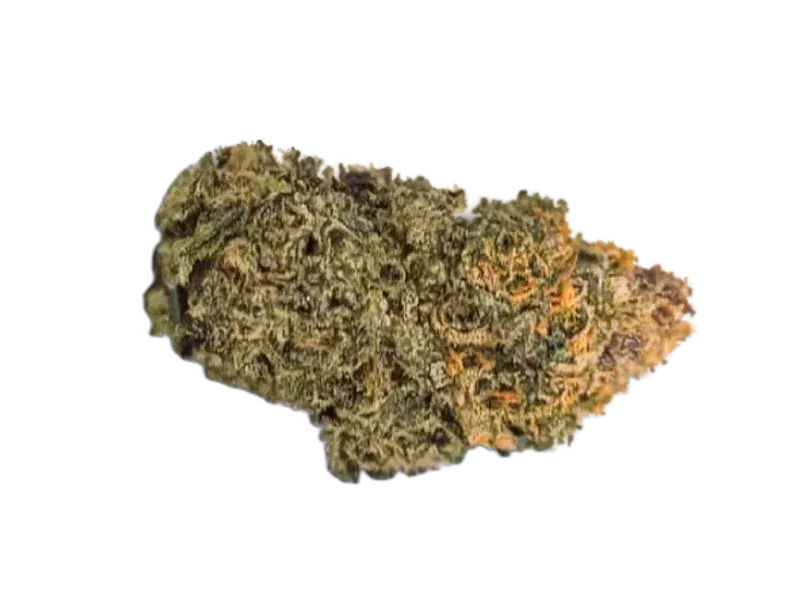 Cannovum Natura PMK-PT 26