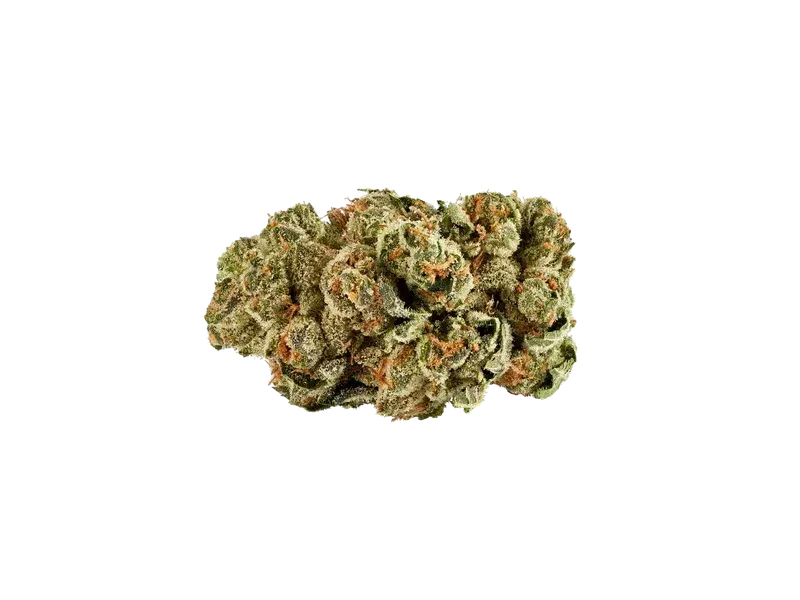 slouu 30/1 GLZ CA