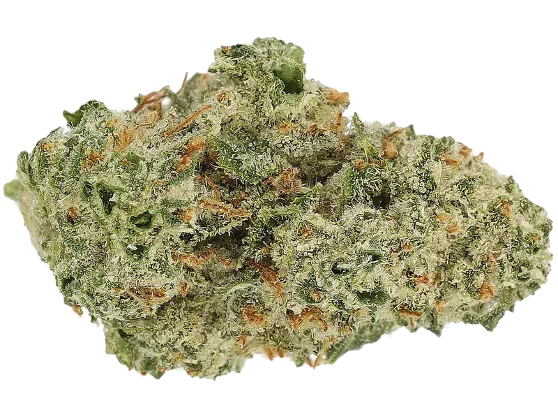 Cannamedical Sativa Forte