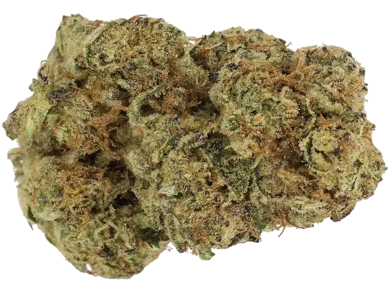 LUANA 24/1 Kush
