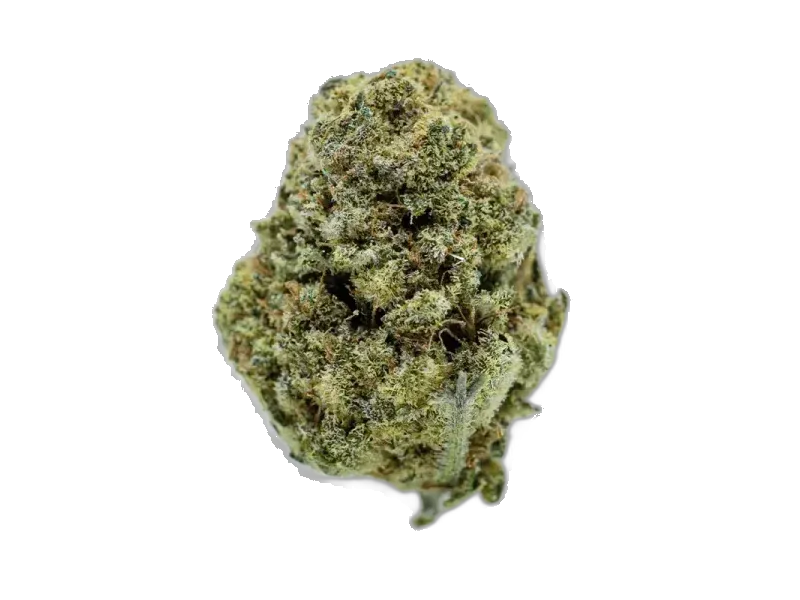 Vayamed 50/1 Cannabisextrakt