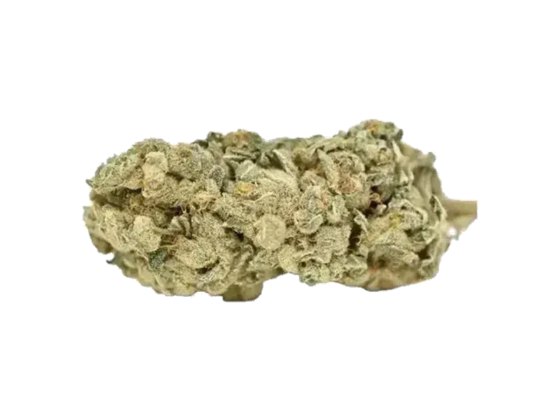 ZOIKS 22/1 Sourflare