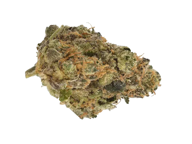 420 Evolution 30/1 CA FFC
