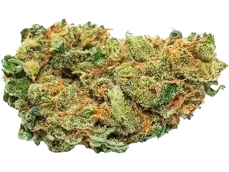 TRUU HS 21:01 Rainbow Dawg