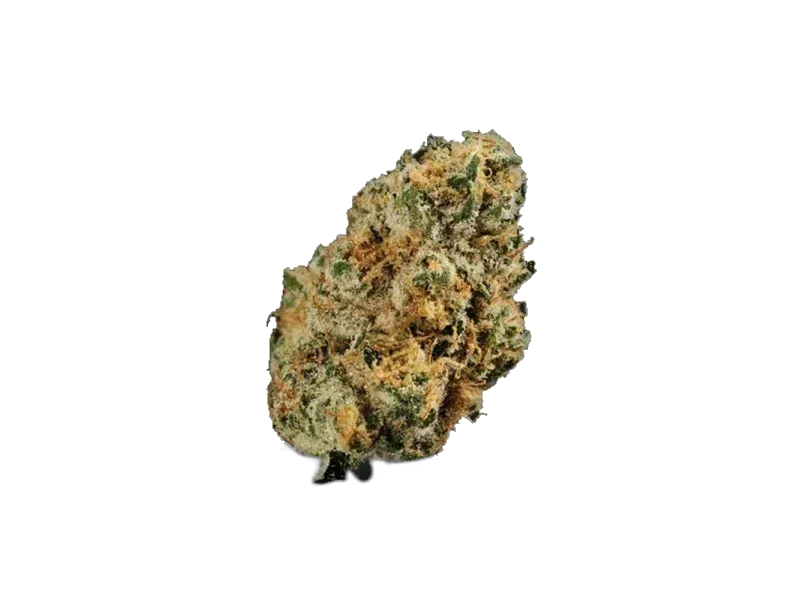 420 Evolution 30/1 CA PCH
