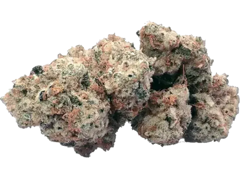 420 Evolution 27/1CA RZY