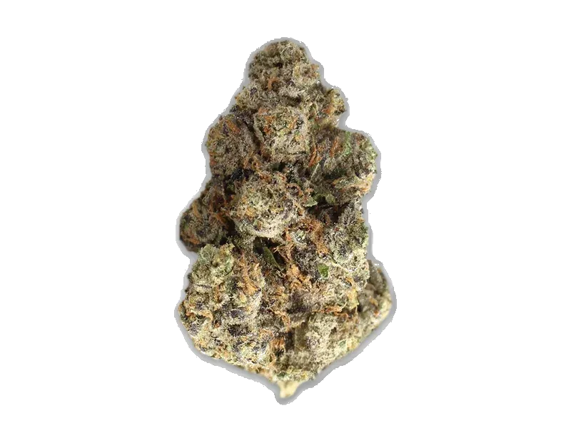 420 Evolution 30/1 CA PLA