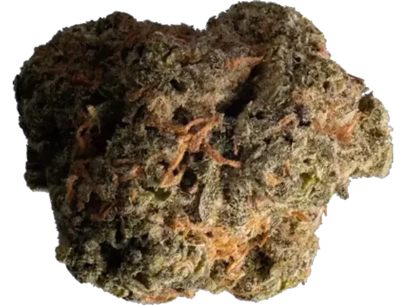 420 Evolution 27/1 CA PCH