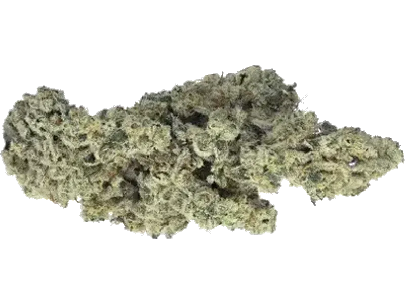 Remexian 30/1 CEE CJU