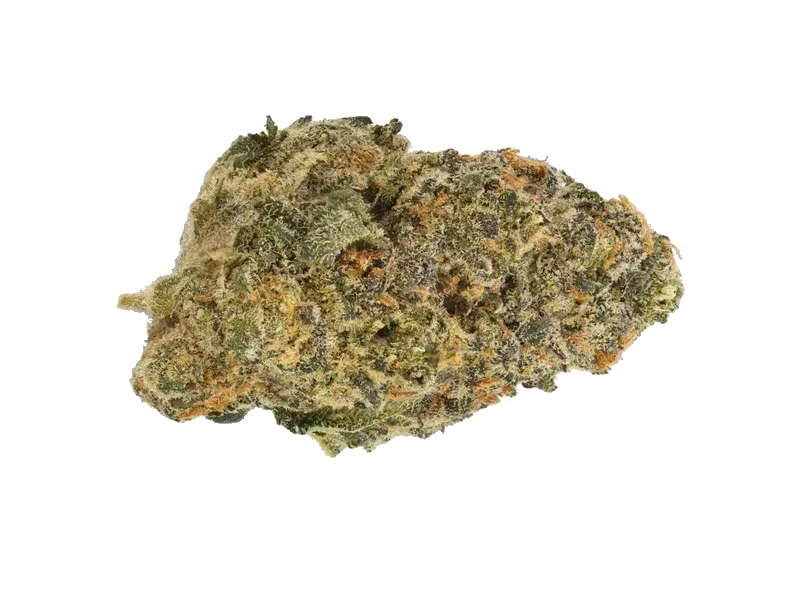 THC Akut TM 30 BIC