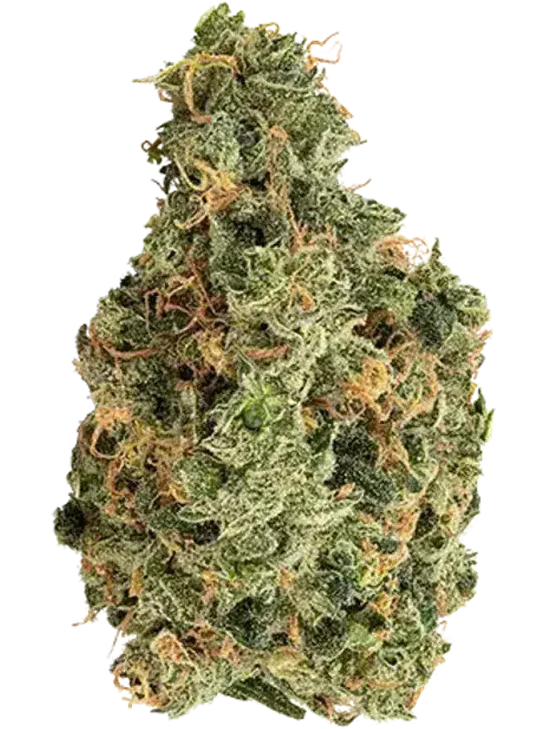 Tilray THC10 : CBD10 No. 2