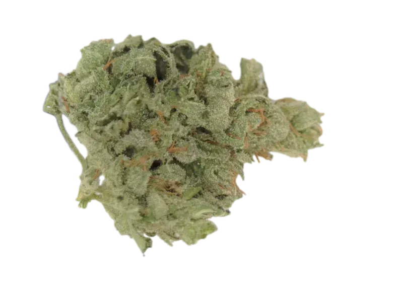 Tilray THC25 Sativa No 4