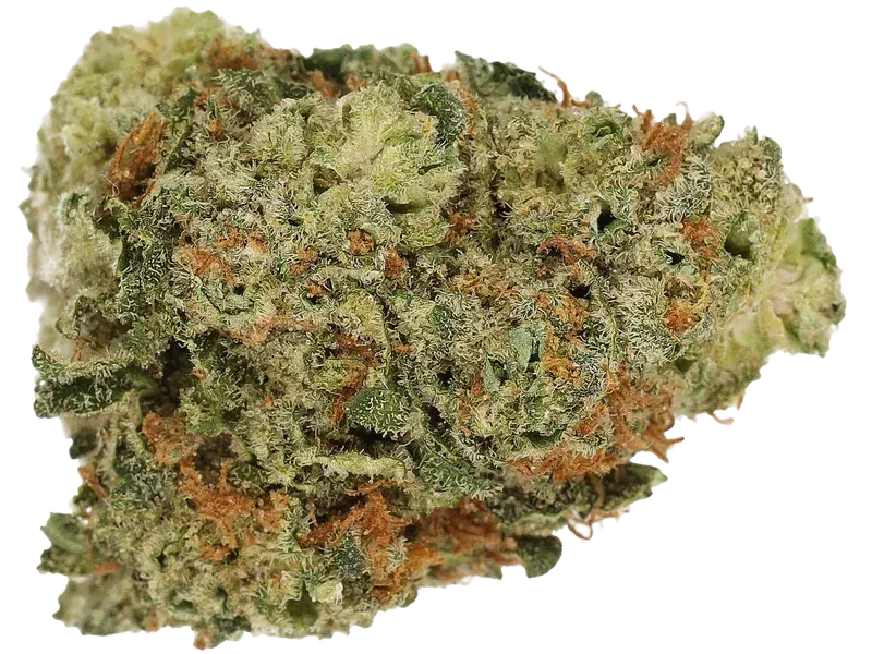 Cannamedical CM 28/1 BRY