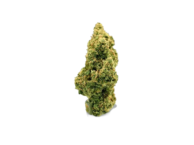 Cannabis flos 22/1 CL Ku.