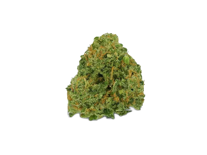 Canopy TCK 27/1