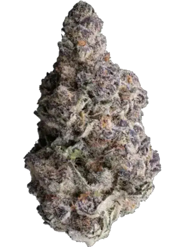 Cannabis flos 27/1 CGD