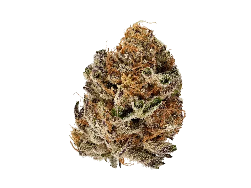 BOTANICS Purple Cream 26/1