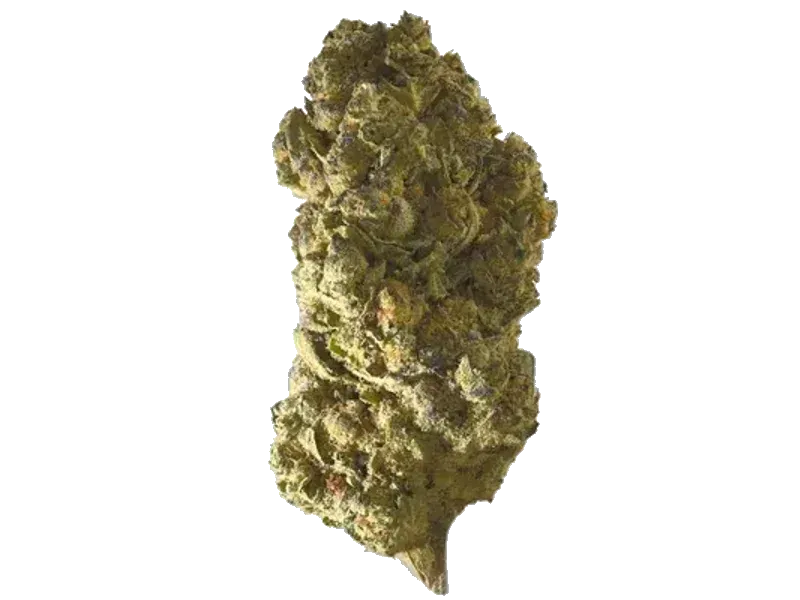 MED HAZE ENERGY PHOCC 26/1
