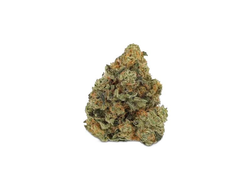 Botanics Golden Ace 26/1