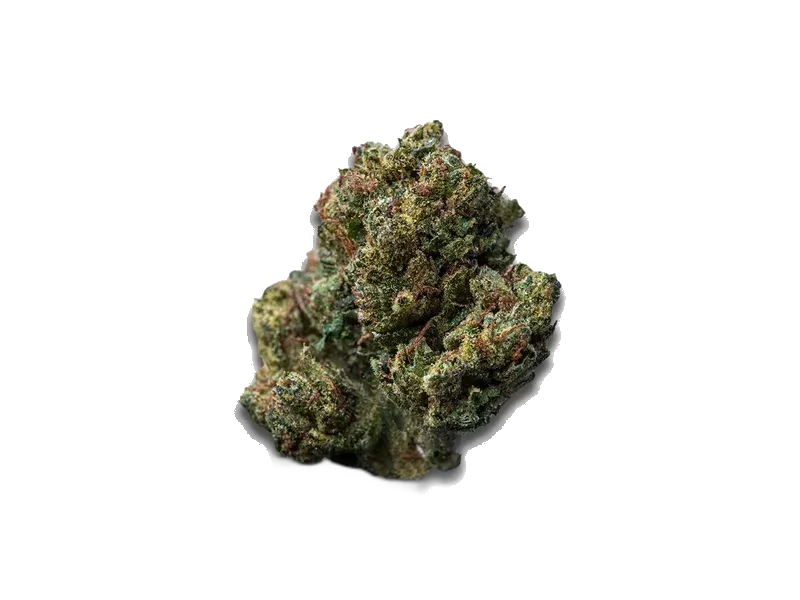 CANVAS Cannabisflower SBF THC27