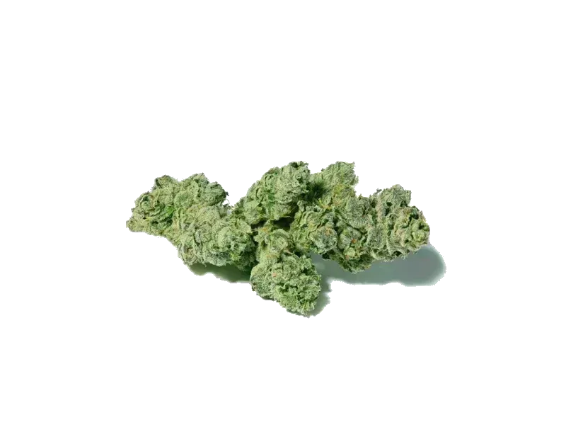 CV Regular Drop